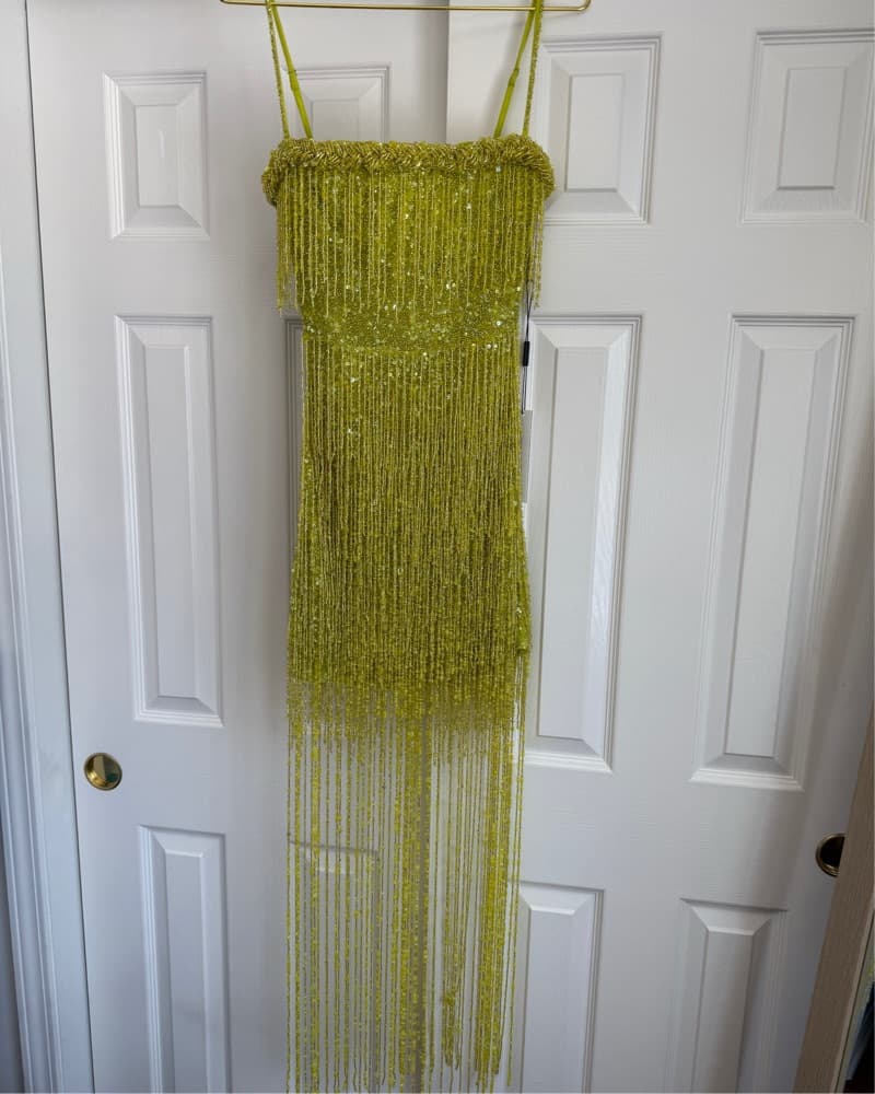 Rachel Gilbert Presley Beaded Mini Dress - Image 5