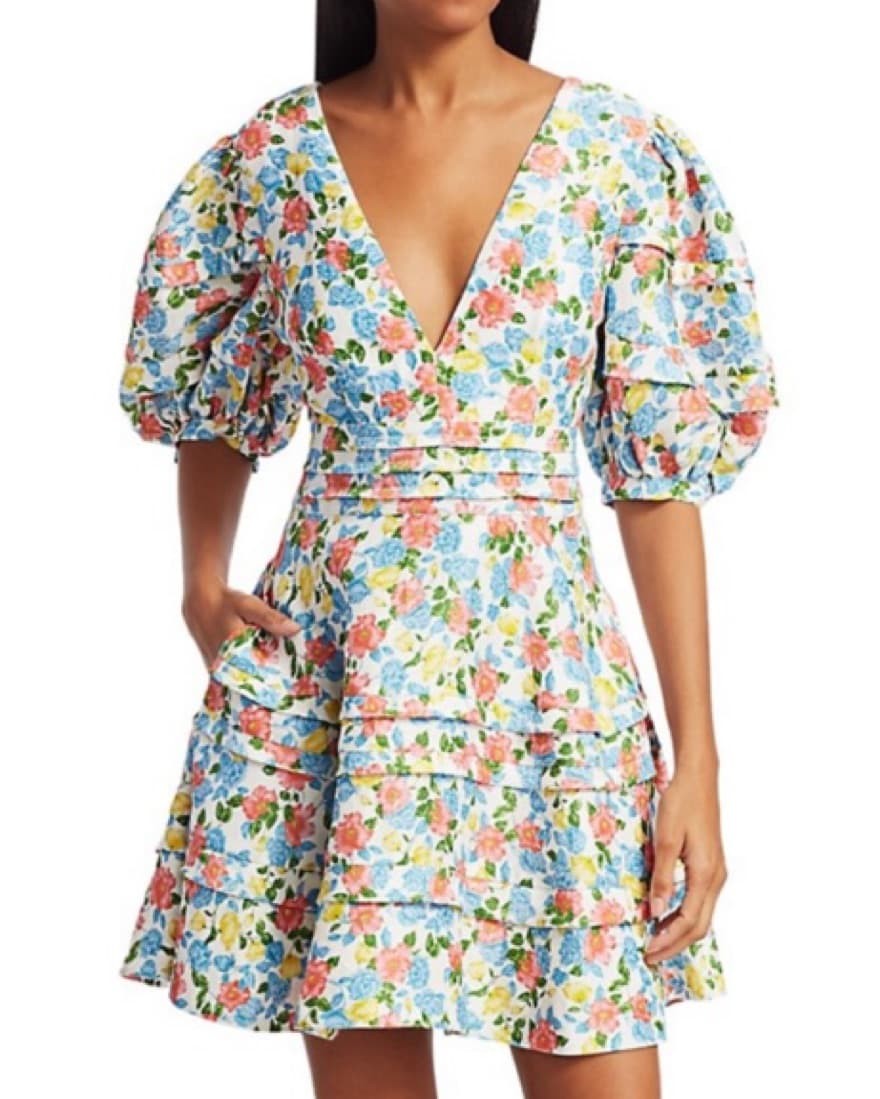 Amur Puff Sleeve Dress - Image 1