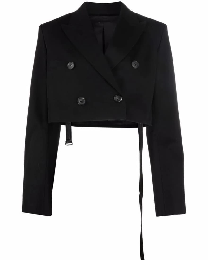 Helmut Lang Cropped Rider Blazer Size 0 - Image 4