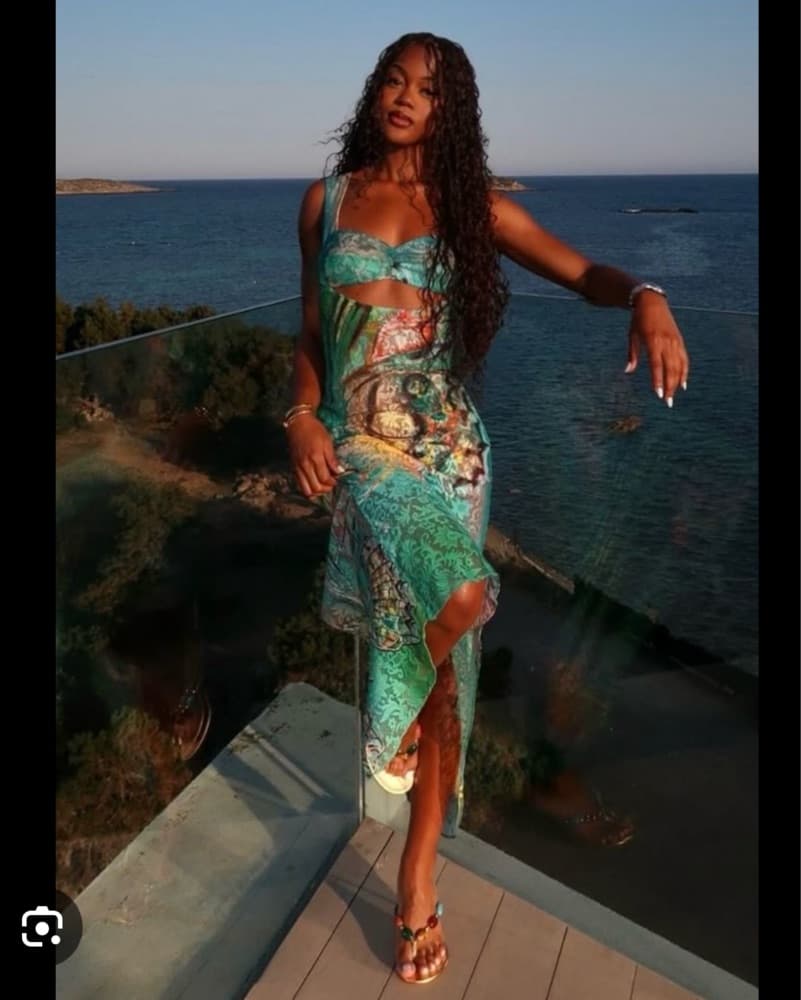 Siedres Luc Butterfly Dress - Image 6