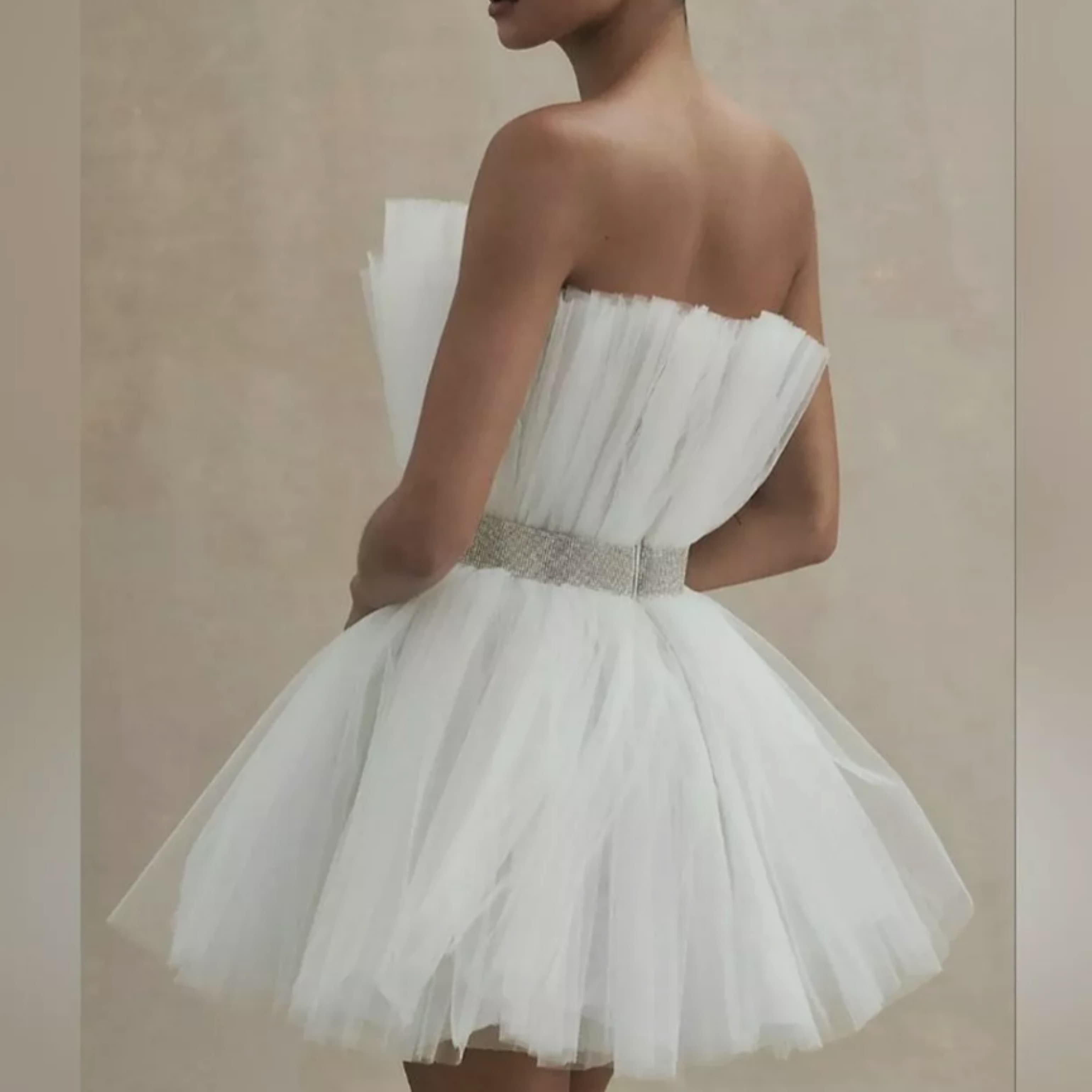 Bronx and Banco Tulle Mini Dress - Image 2
