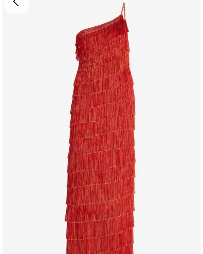 Francesca Miranda Red Fringed Maxi Dress - Image 5