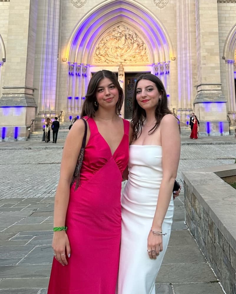 Pink Gown - Image 1