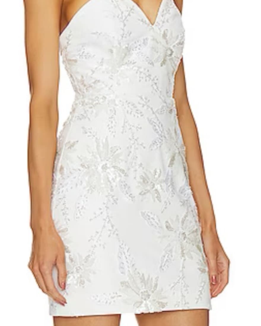 MILLY Ronni Cady Embroidery Dress - Image 4