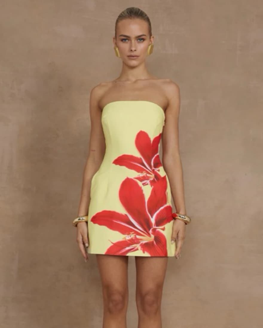 Runaway The Label Primrose Dress - Image 1