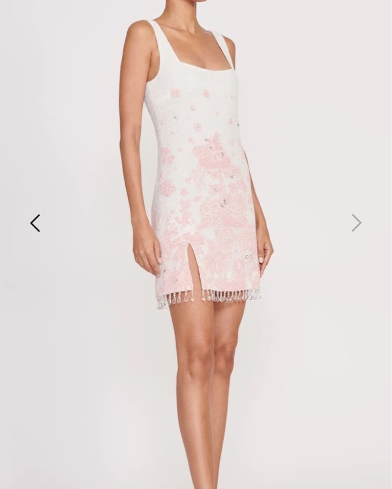 Pink Toile Le Sable Dress - S - Image 4