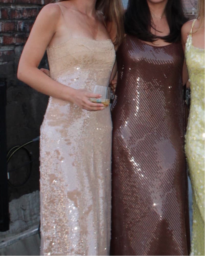 Simkhai Sequin Dress - Image 1