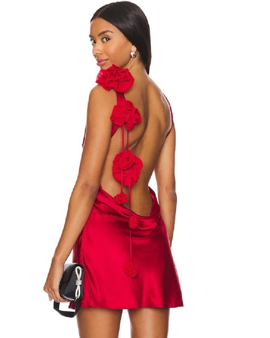 Red Rose Backless Mini Dress - Image 1