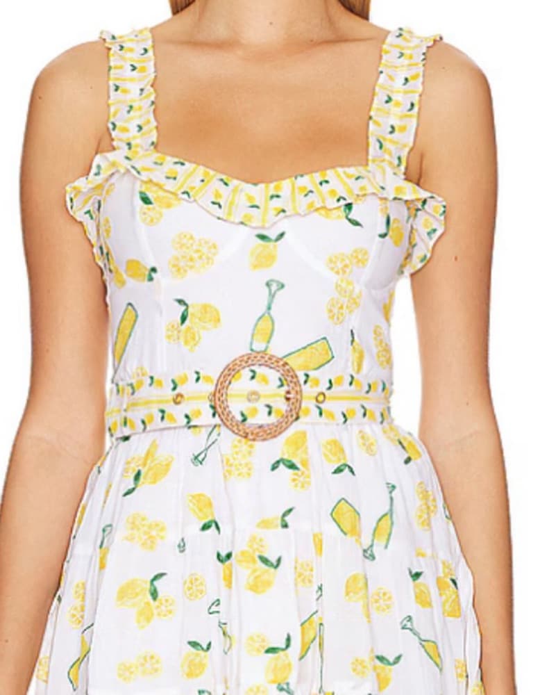 Show Me Your Mumu Dress - Image 2