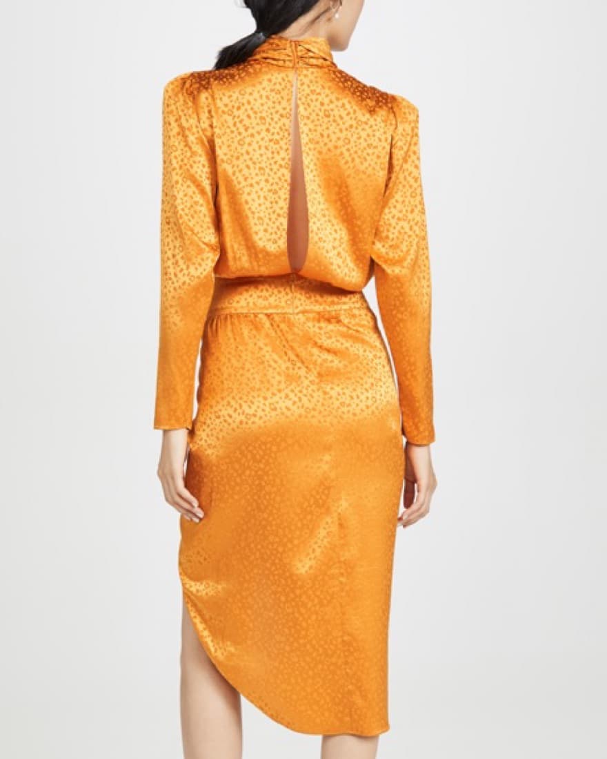 Ronny Kobo Vibrant Satin Leopard Dress - Image 3