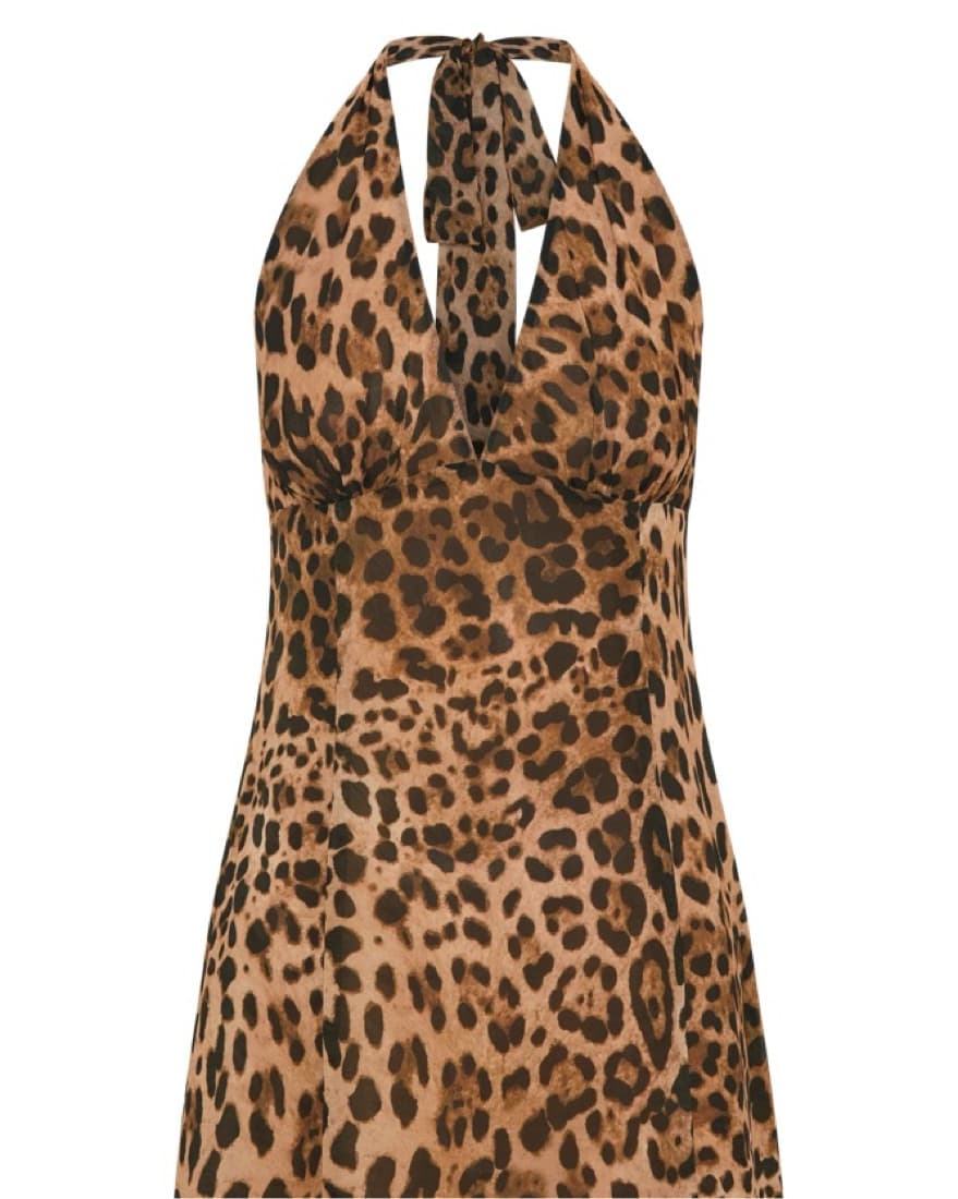 Captivating Leopard Print Mini Dress - Image 3