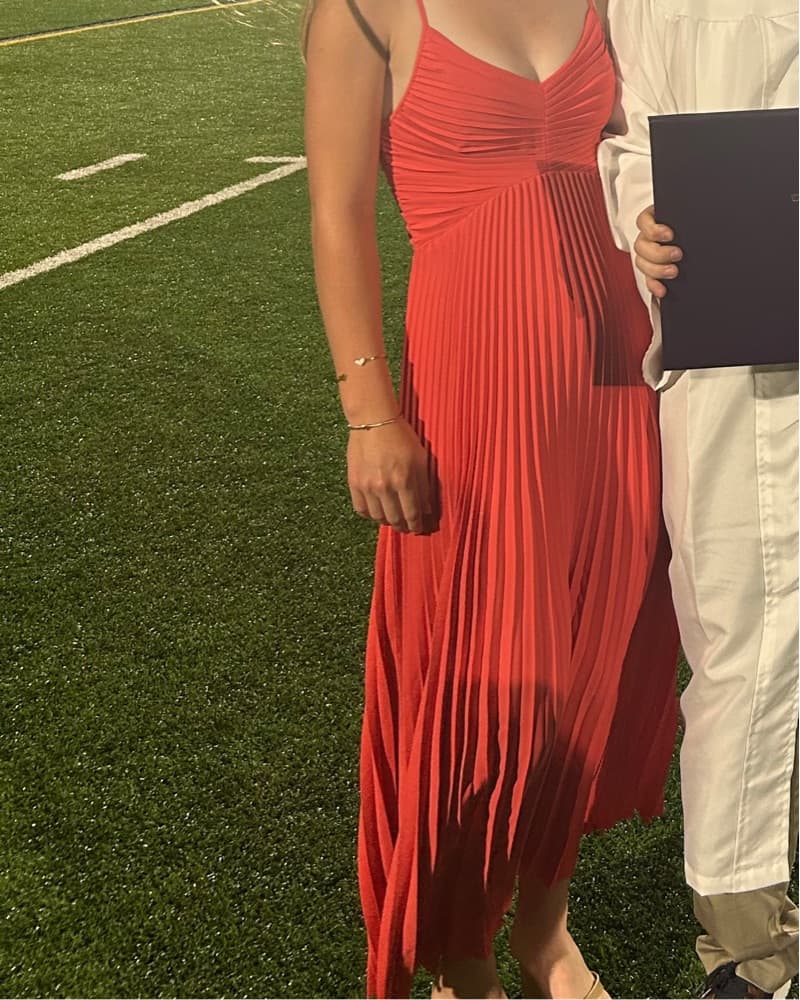 Aritzia Maxi Dress - Image 1