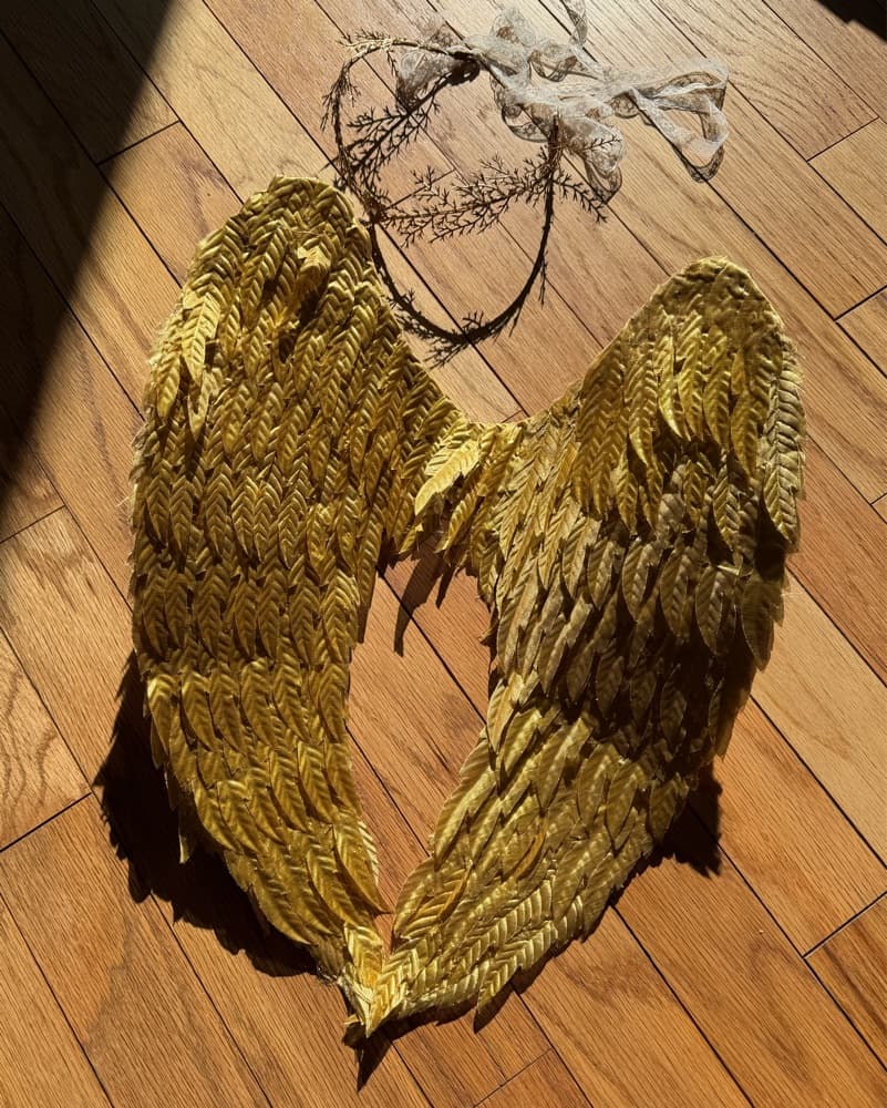 Fairy Set! - Saltburn Woodland Golden 🪽 - Image 1