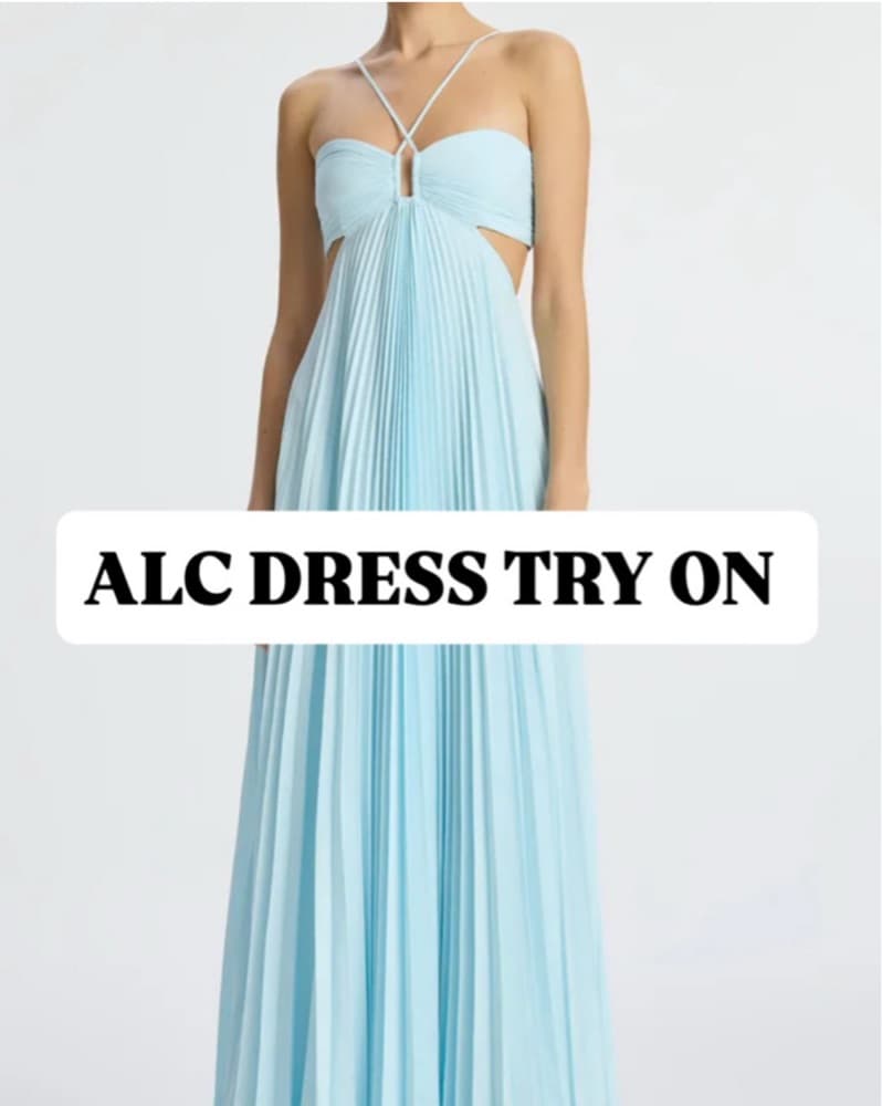 ALC Dress Try on - Image 1