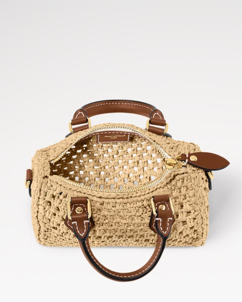 Louis Vuitton Raffia Nano Speedy - Image 2
