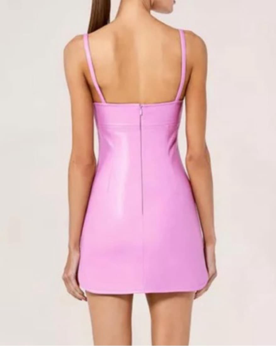 Alexis Nixie Mini Dress - Image 2