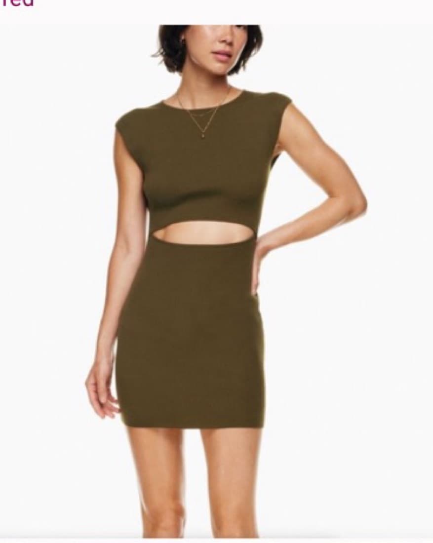 Wilfred Free Aritzia Dress  - Image 1
