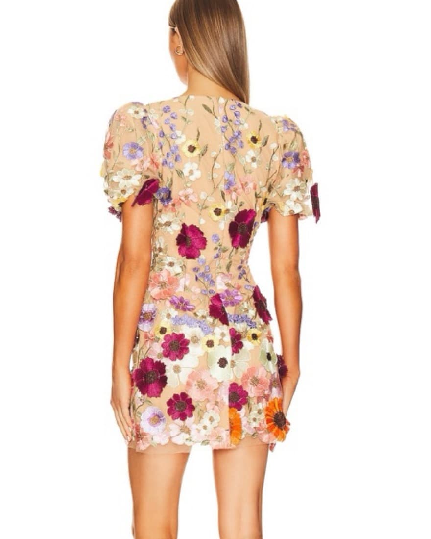 ELLIATT Rosalind Dress in Multi  - Image 2