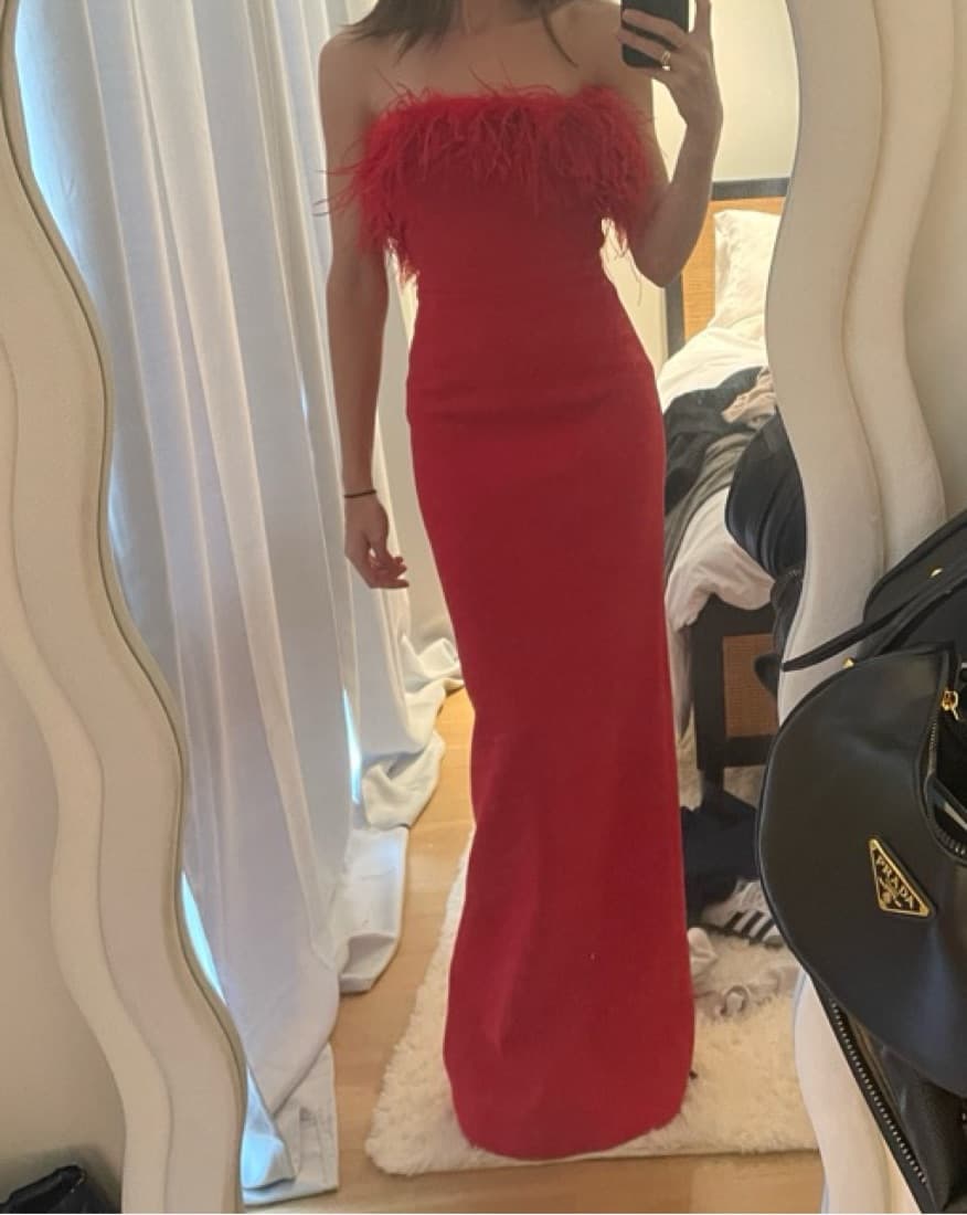 Rebecca Valance Red Feather Gown - Image 5