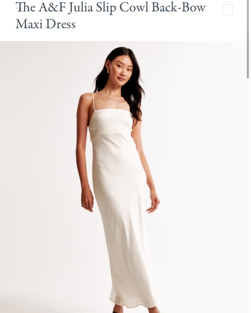 A&F Julia Slip Cowl Bow Maxi Dress - Image 1