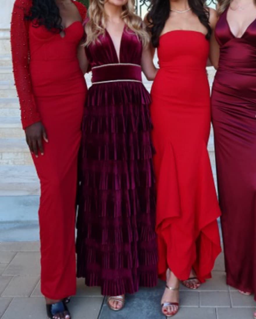 Bronx & Banco Velvet Flared Gown - Image 5
