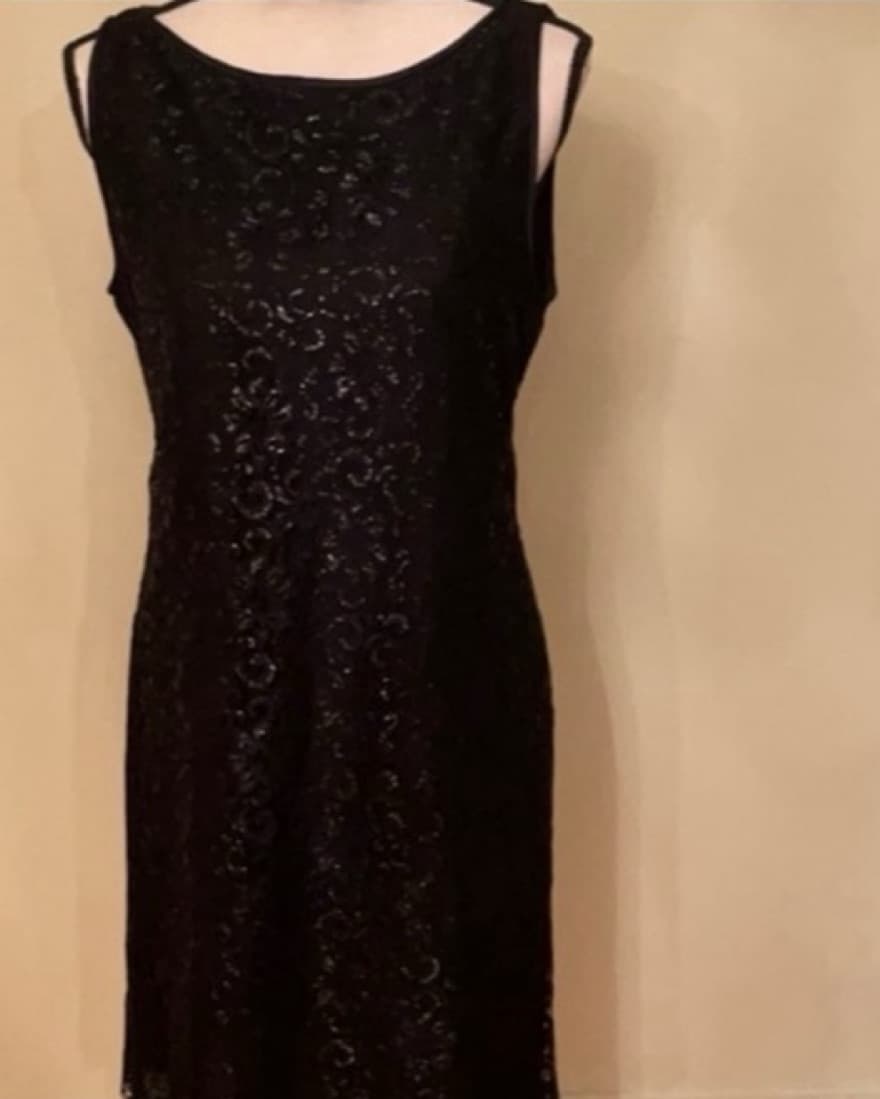 Shimmer Lace Dress - Image 1