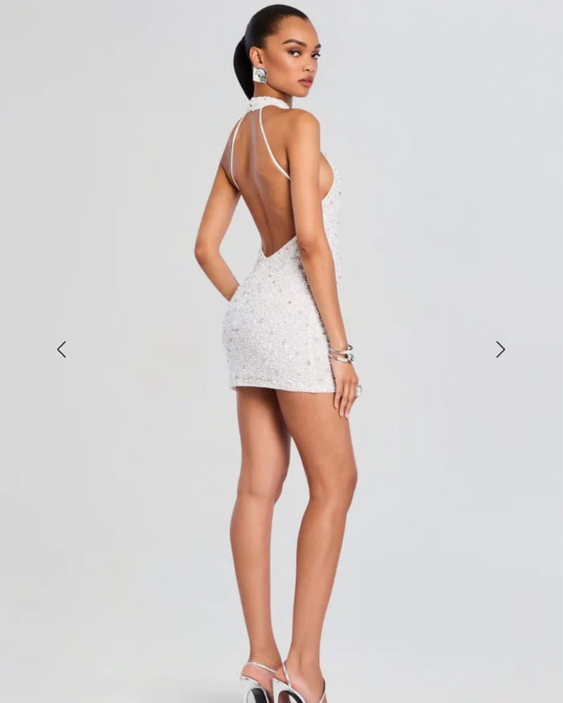 Retrofete Olivia Dress - Image 2