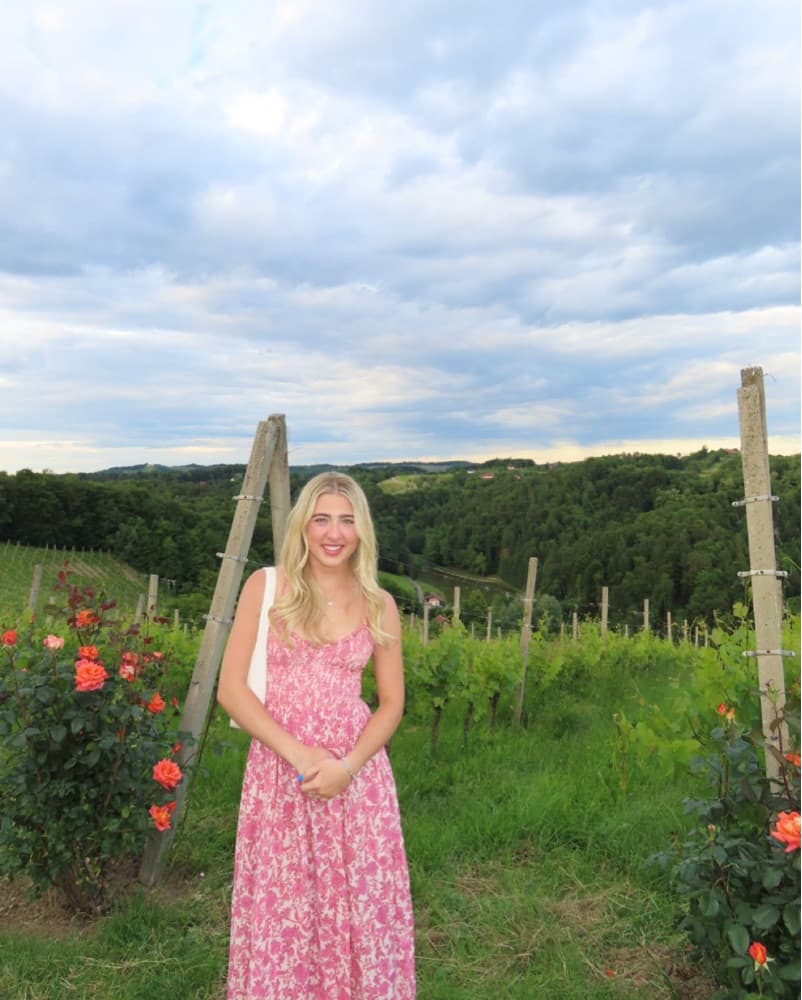 Pink Free People Dress - Image 4