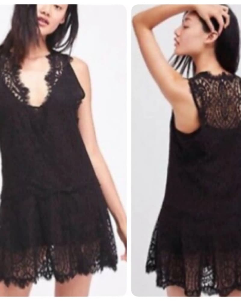 Free People Sheer Lace Drop Waist Dress - Image 1