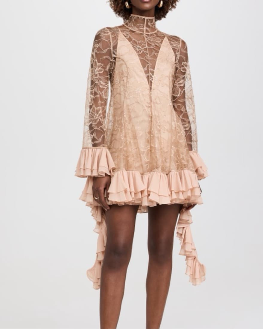 Alexis Aliya-  Lace Ruffled Mini Dress - Image 1