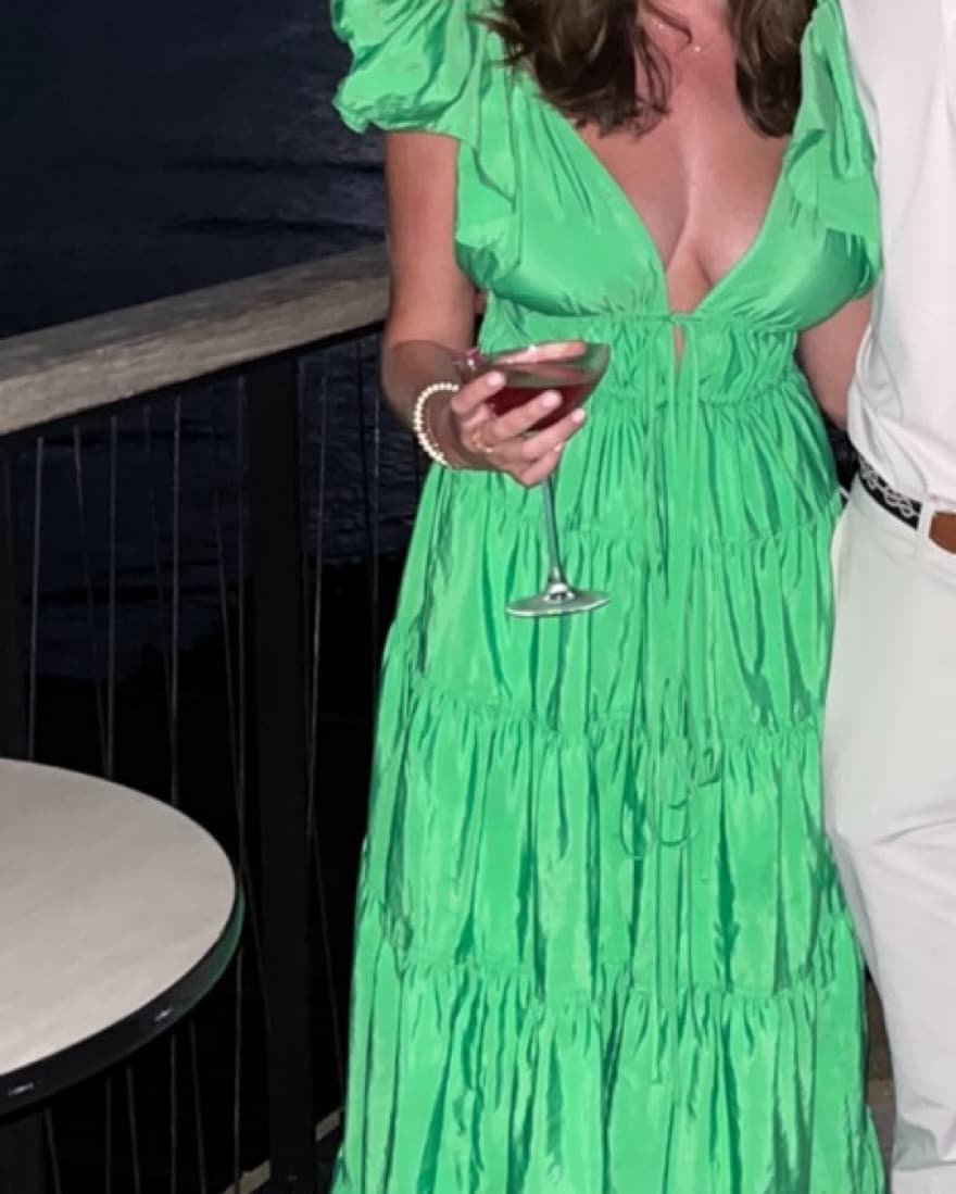 ALC Luca Dress - Image 3