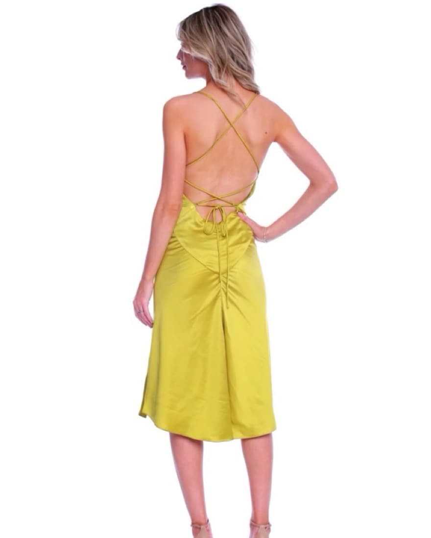 Wolf & Badger Seville Midi Dress - Image 3