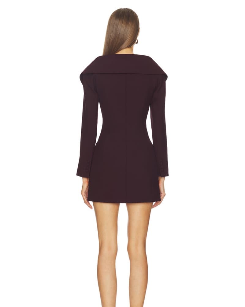 SRG Emily Mini Dress In Cabernet - Image 2