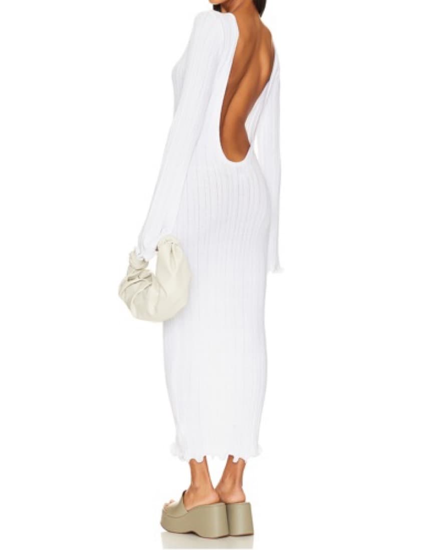 SNDY revolve Maxi Dress Backless  - Image 2