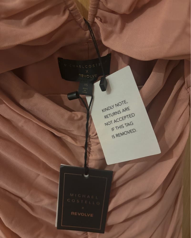 Revolve Hilary Gown in Blush - Image 5