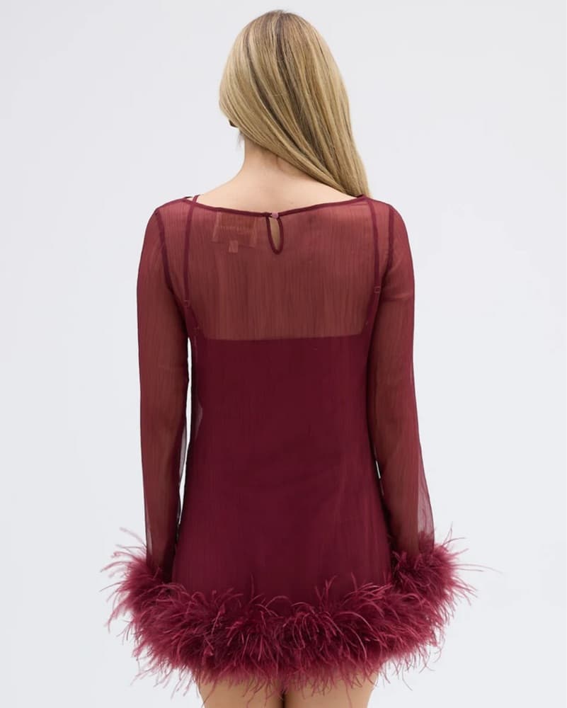 Bubish Harlow Sheer Feather Mini Dress - Image 2