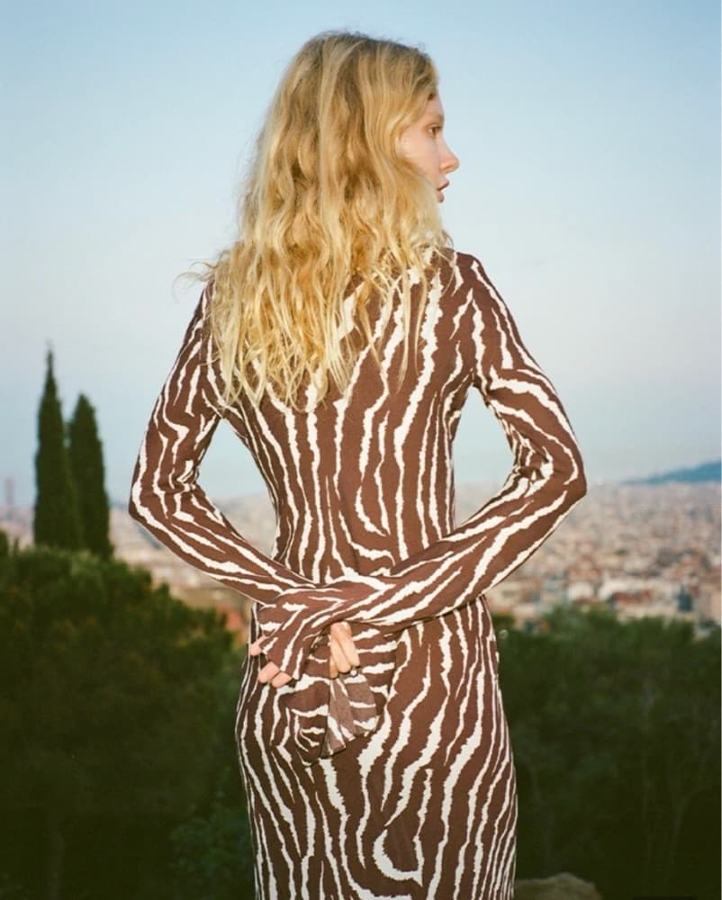 Realisation Par Zebra-Print Maxi Dress - Image 2
