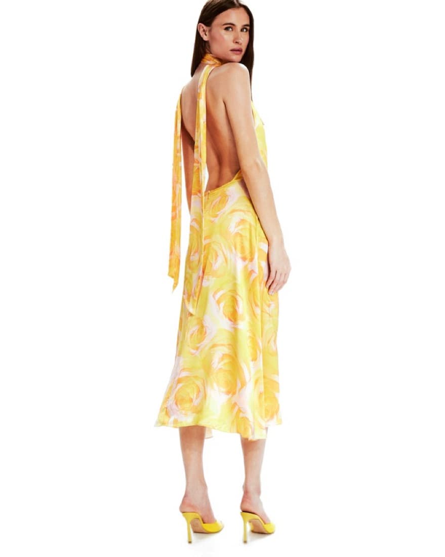 Camilla Wild Roses - 40 / Yellow Wild Ro - Image 3