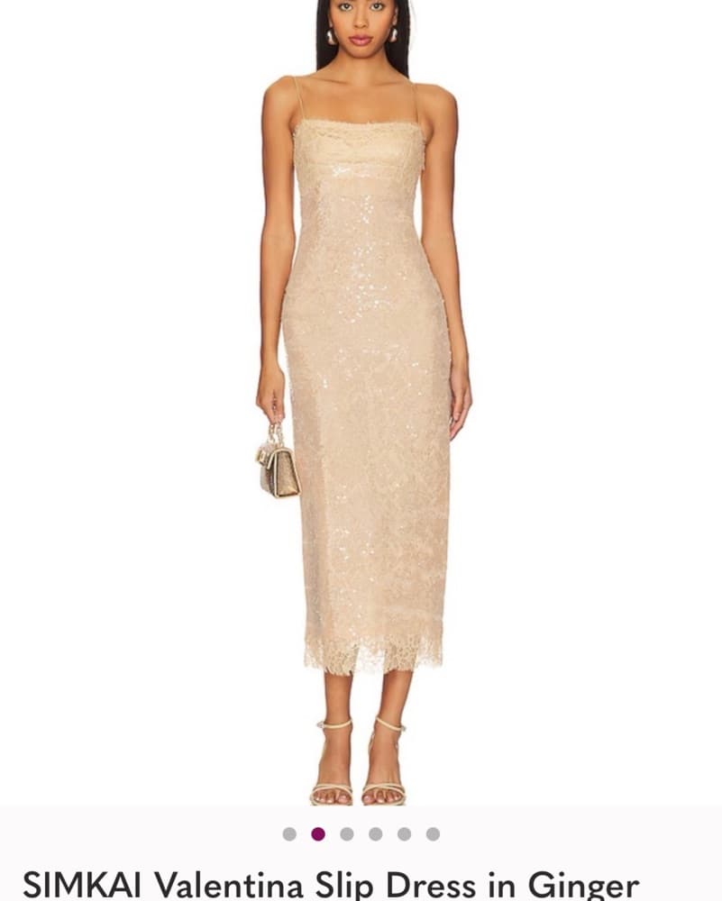 Simkhai Valentina Slip Dress - Image 1