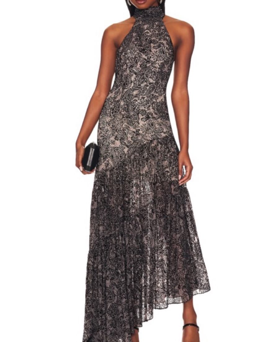 Ona Velvet Burnoit Maxi Dress - Image 1