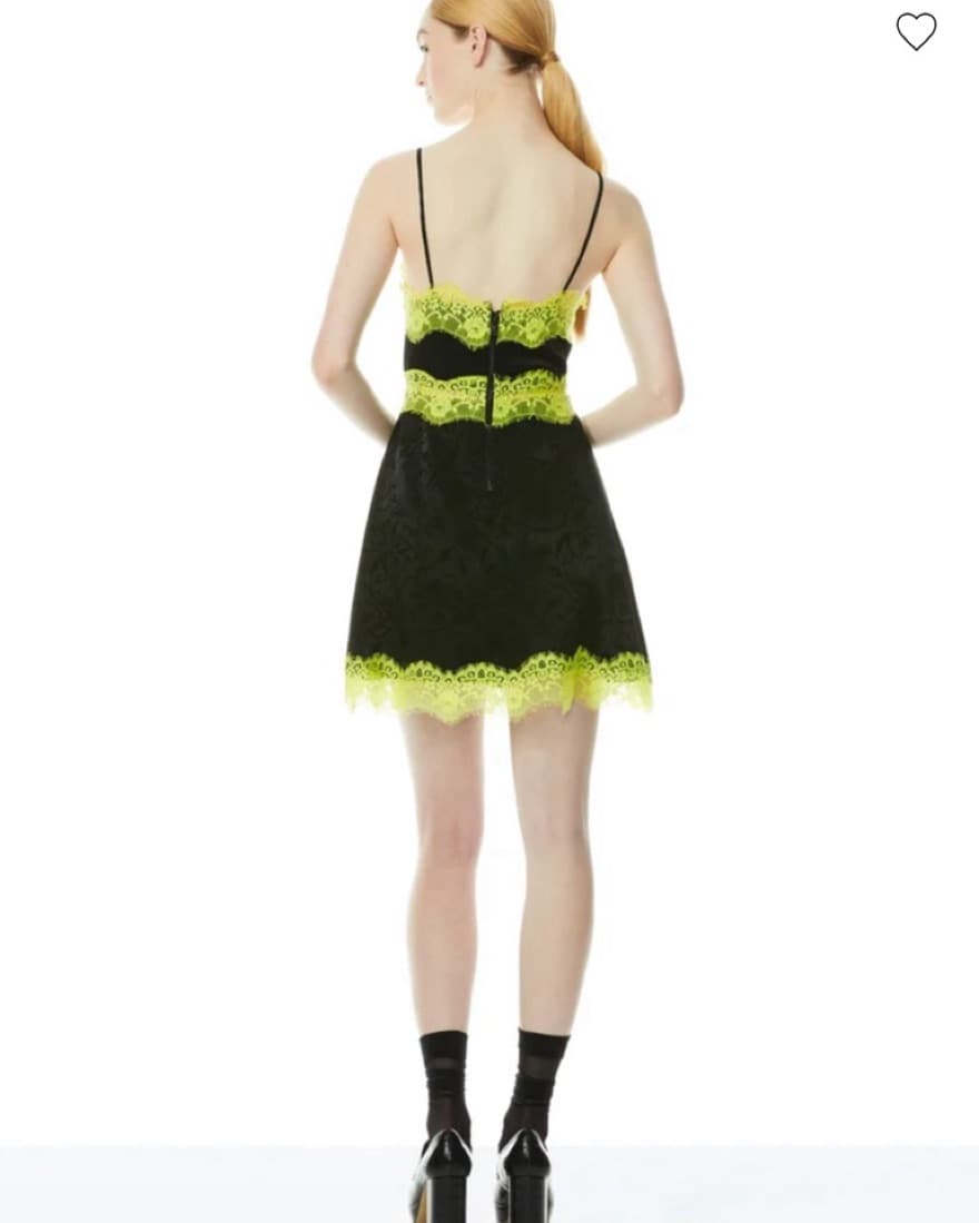 Alice and Olivia Lace Trim Dress  - Image 4