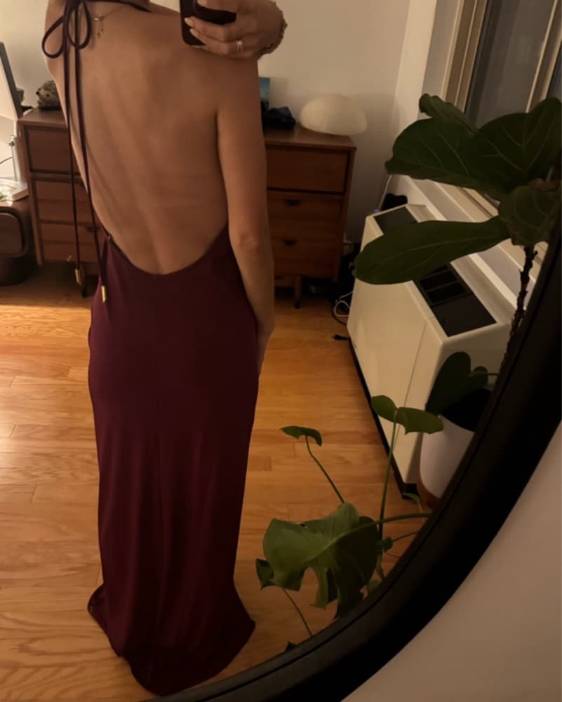 Silvia Tcherassi Dress - Image 3