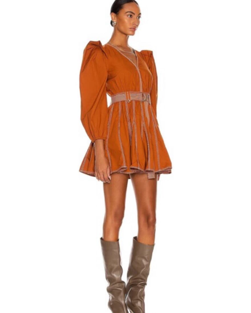 Ulla Johnson Fall Minidress - Image 2