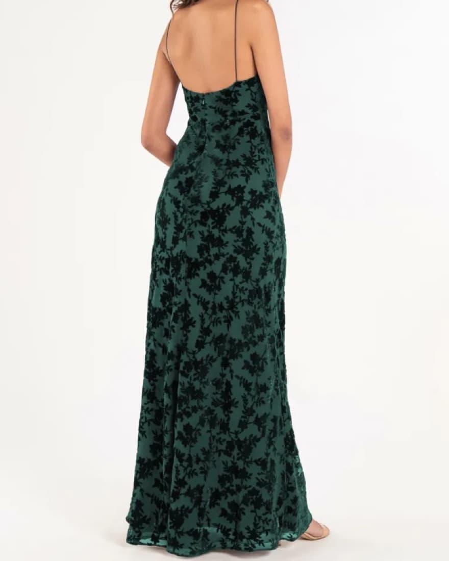 Jenny Yoo Rory Velvet Burnout Long Dress - Image 2