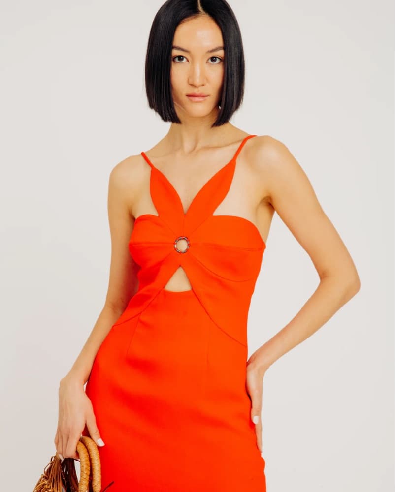 Ronny Kobo Red Cutout Dress - Image 2