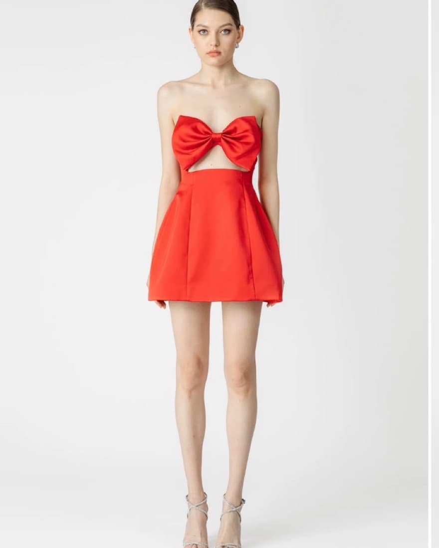 Red Sau Lee Mini Dress - Image 2