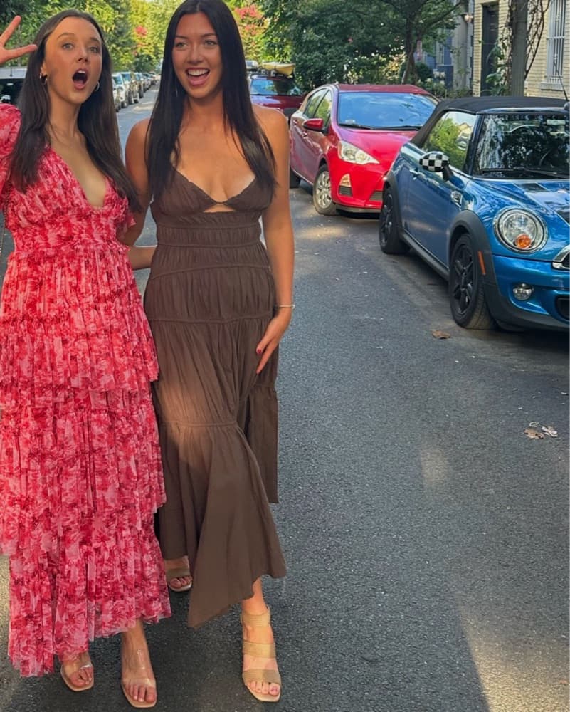 Revolve Brown Dress - Image 1