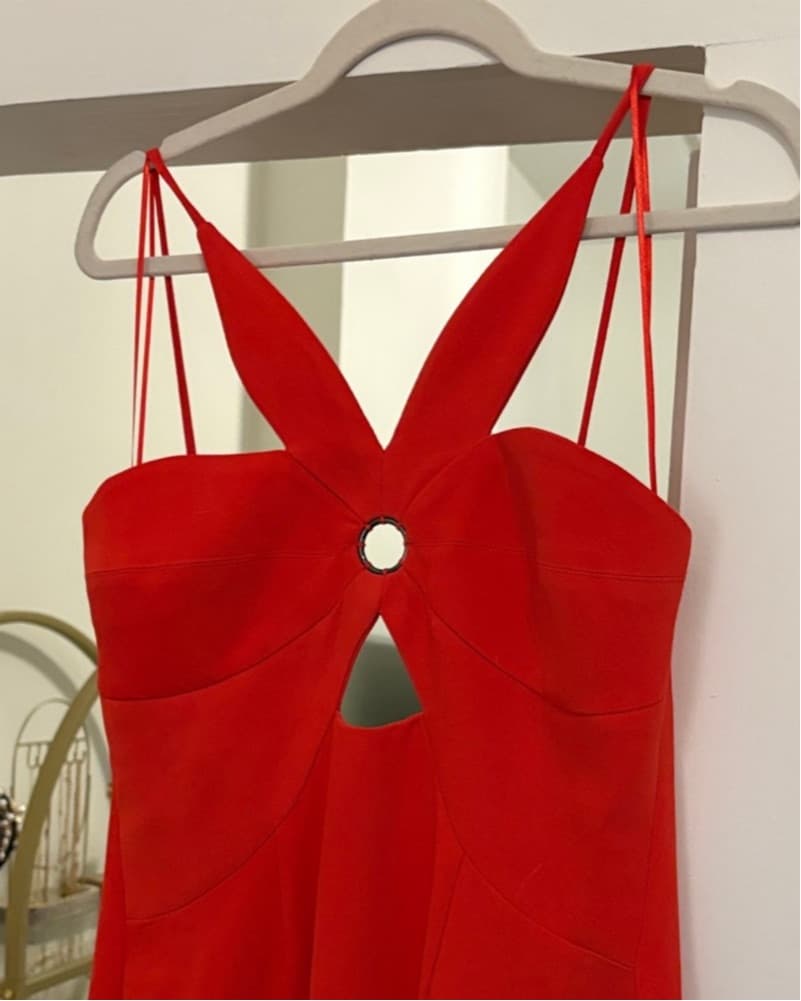 Torn by Ronny Kobo Anna Midi Dress - Image 2