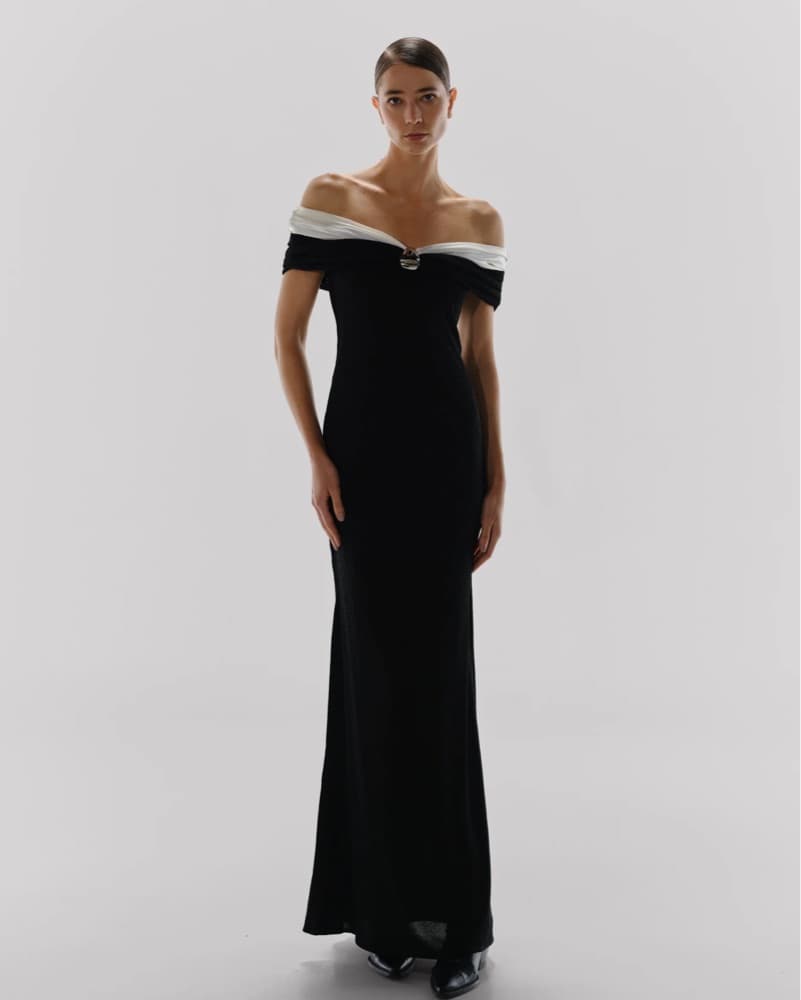 Revolve Baobab Dress - Image 1