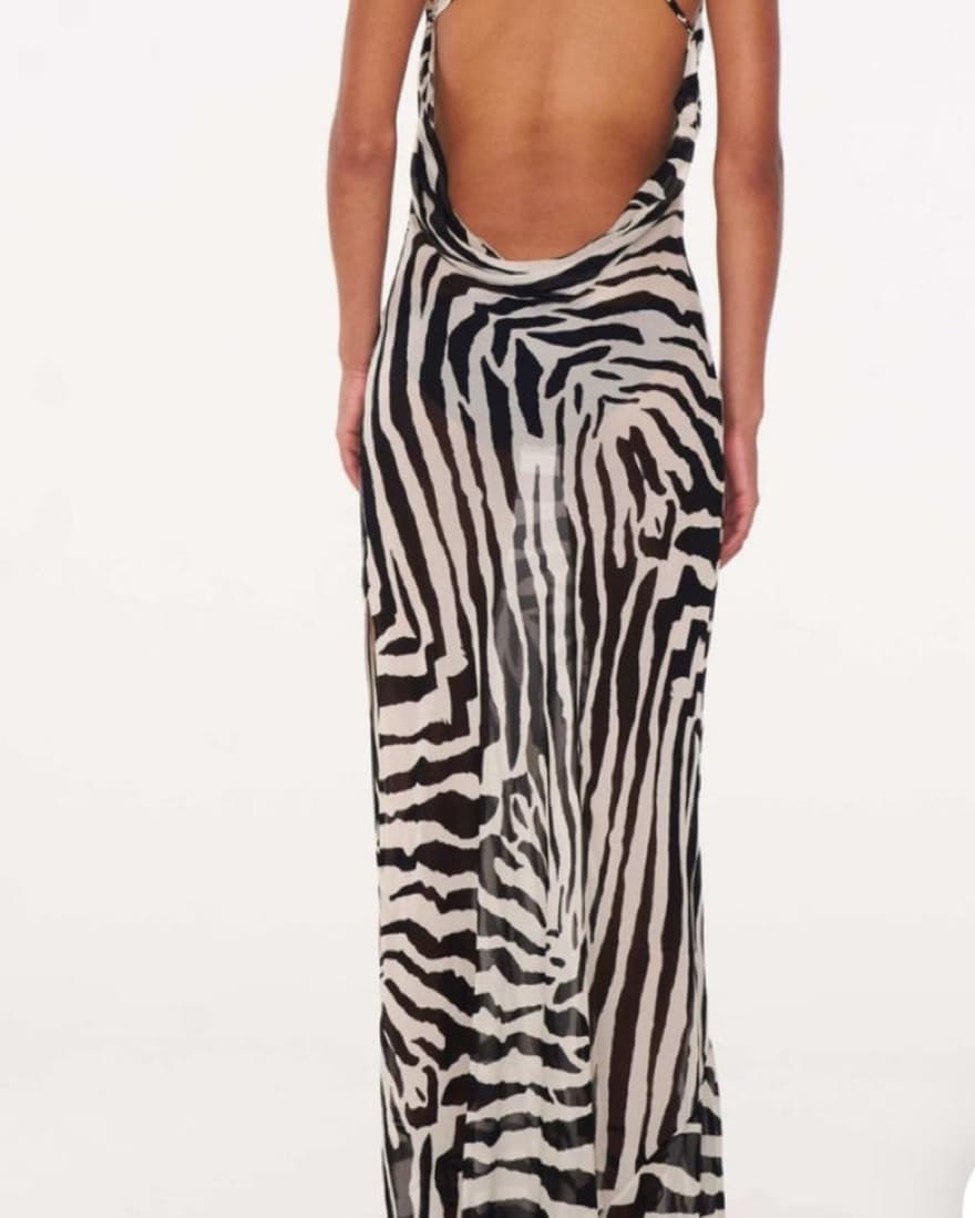 Rat And Boa Zebra Dress - Image 4